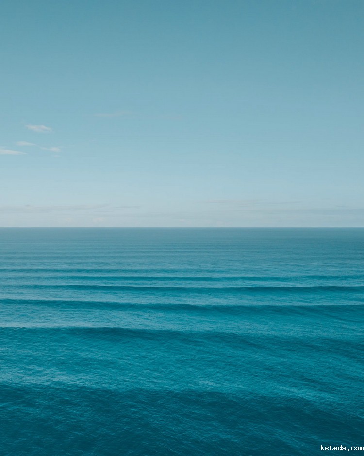 光电浊度计 光电浊度计