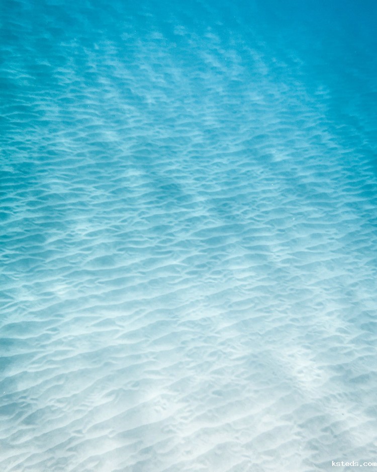 浊度在线检测仪 浊度在线检测仪