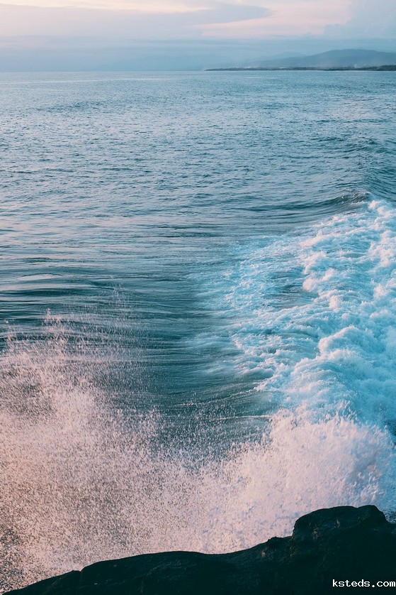 便携智能水质分析仪