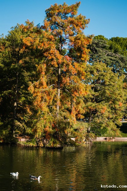 工业在线浊度仪