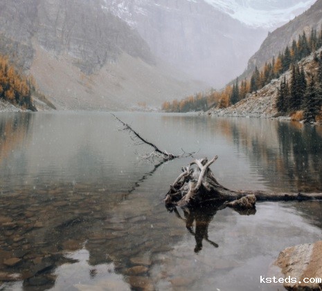 1676881381866221.jpg 7.jpg