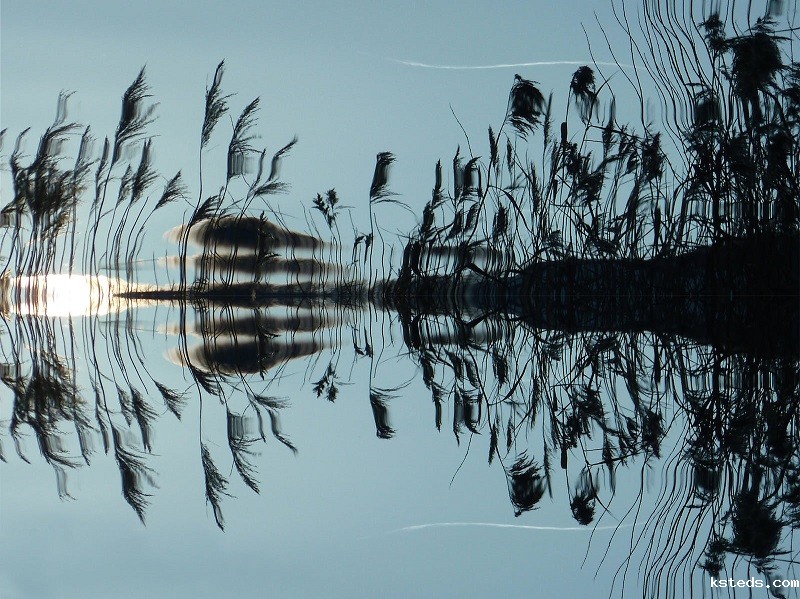 1677050331394306.jpg 38.jpg