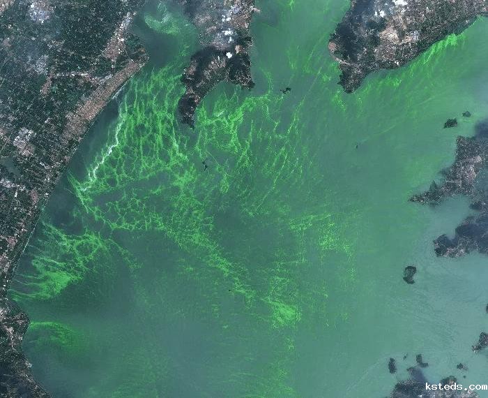 1678170425616041.jpg 蓝绿藻.jpg