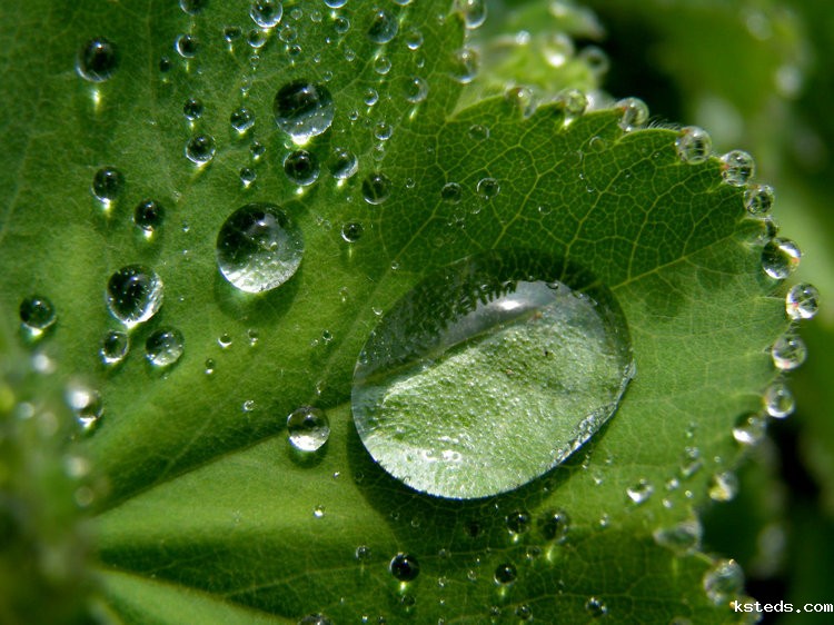 氨氮传感器 氨氮传感器