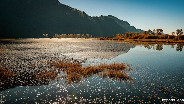 氨氮在线监测仪 氨氮在线监测仪