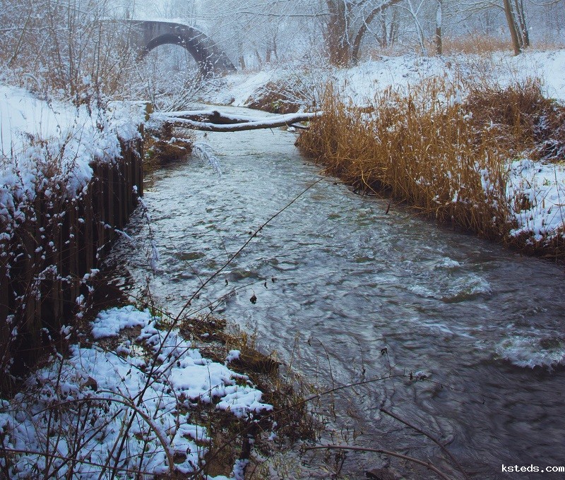 1679555011633997.jpg 125.jpg