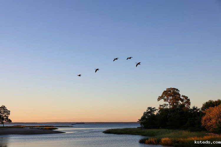 水杨酸比色法氨氮在线分析仪 水杨酸比色法氨氮在线分析仪