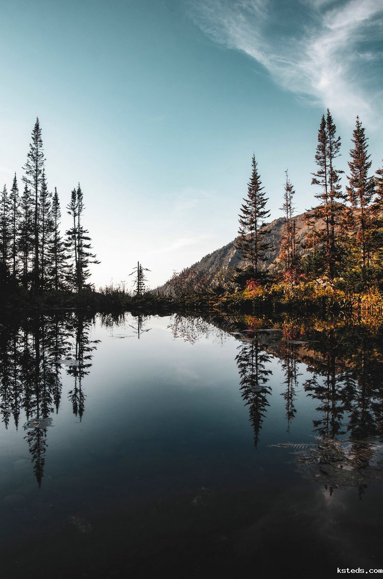 便携式氨氮测定仪