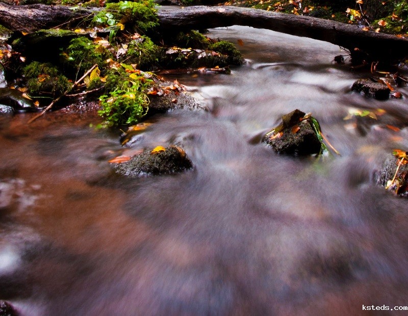 1680513026547514.jpg 145.jpg