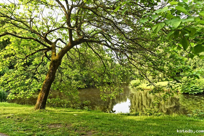 在线浊度分析仪