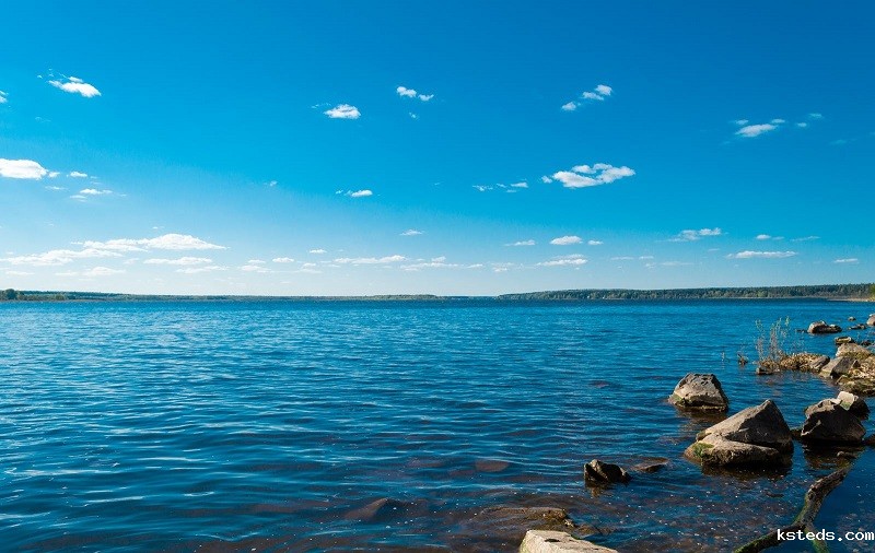 1684401327884465.jpg 172.jpg