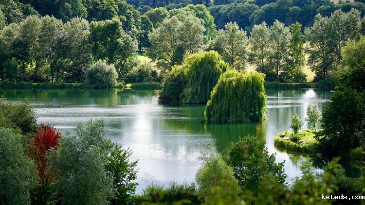 1685062233728657.jpeg 1668071946131319.jpeg