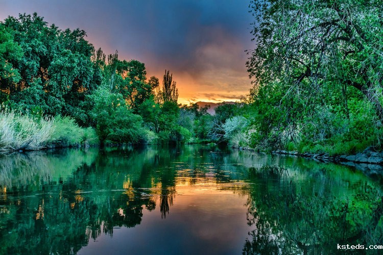 浊度计传感器 浊度计传感器