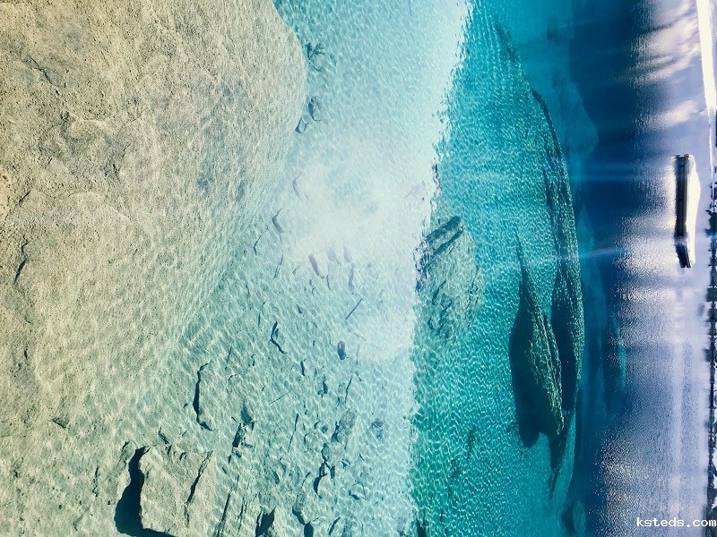 1689077530354135.jpg 90.jpg