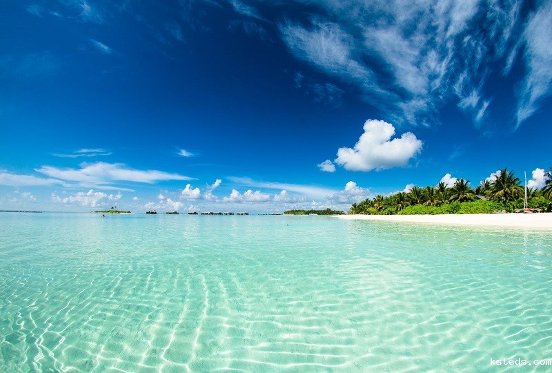 1690035493546816.jpg 141.jpg