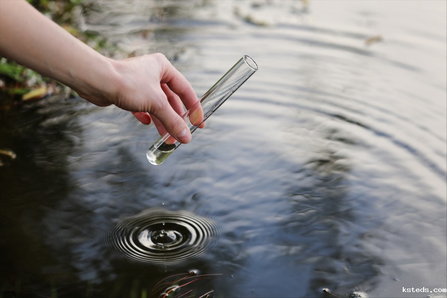 1691125916892476.jpg teto.jpg