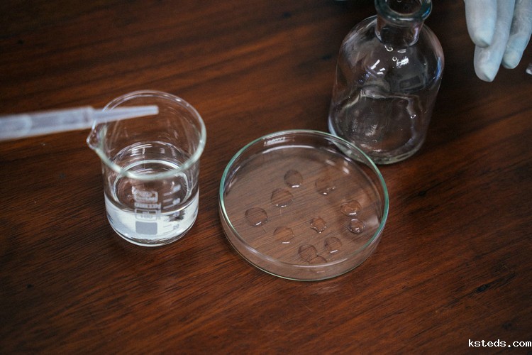 1693458837494657.jpeg 实验10.jpeg