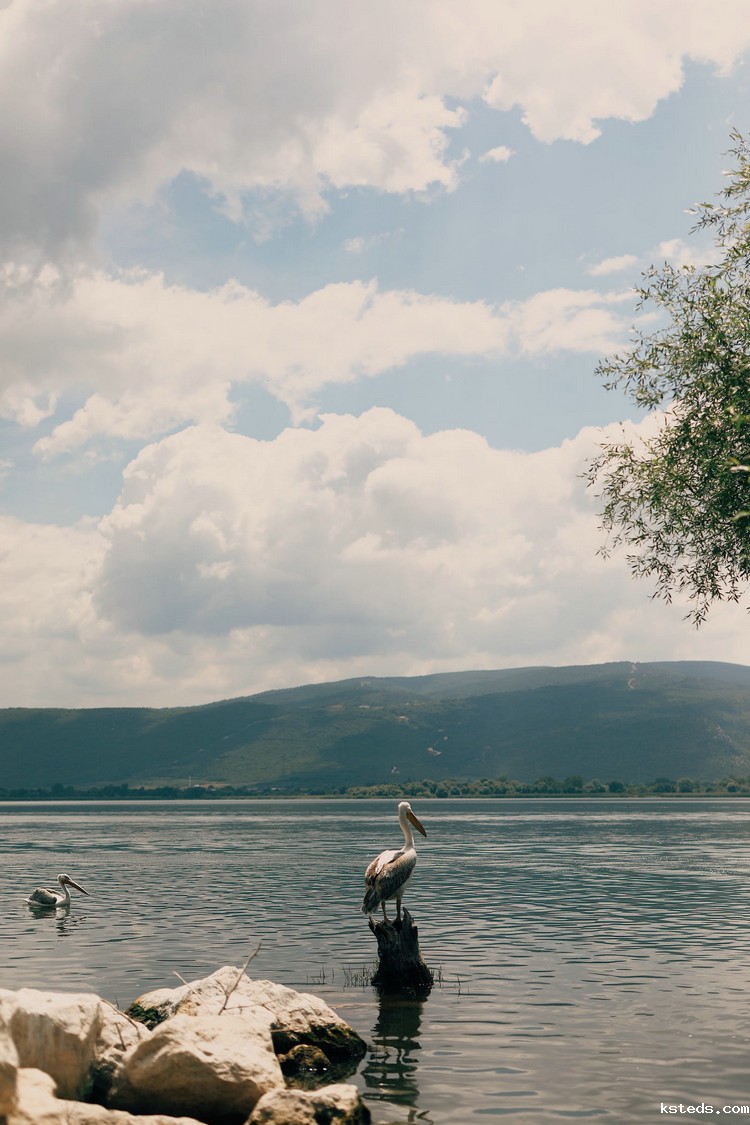 1697000887336998.jpeg 湖泊21.jpeg