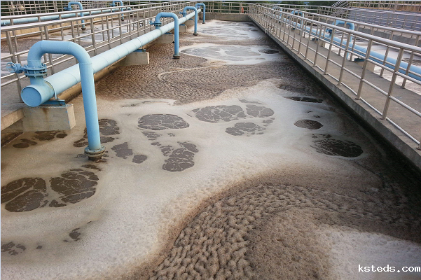 1710406307214582.png 1-1ZH5100635W9.png