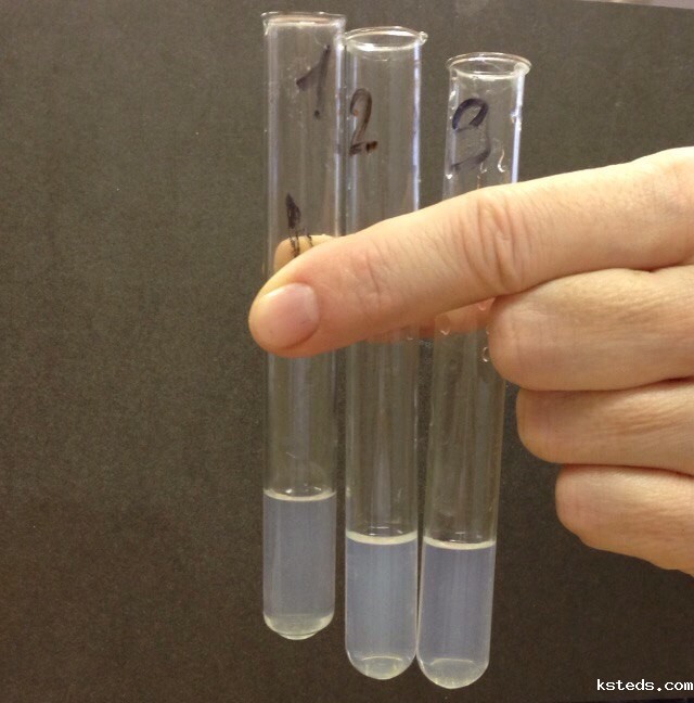 1716945571538266.jpg 202012181528071814.jpg