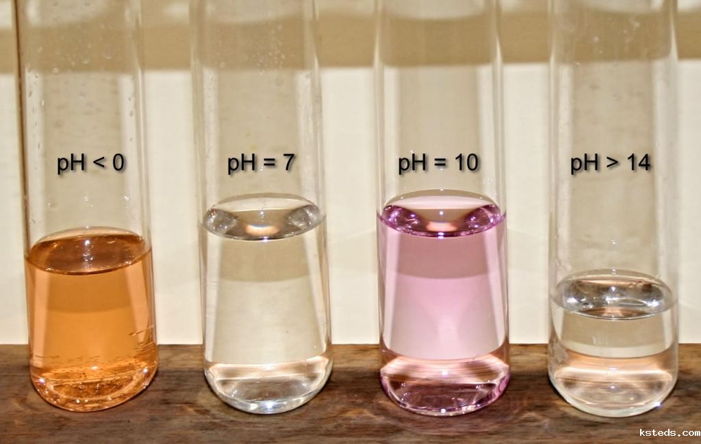 1724808087344890.jpg 202012241534050932.jpg